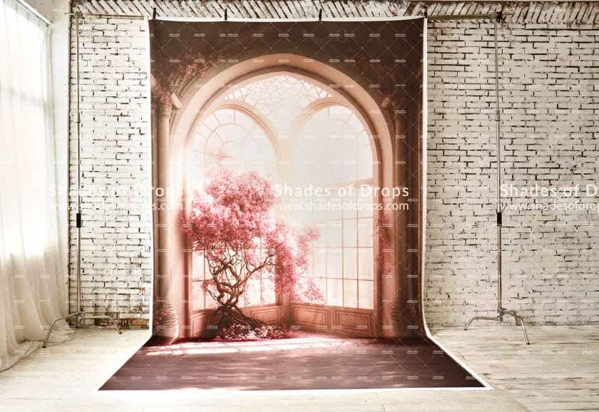 Photo of the Pink Castle photography backdrop by Shades of Drops